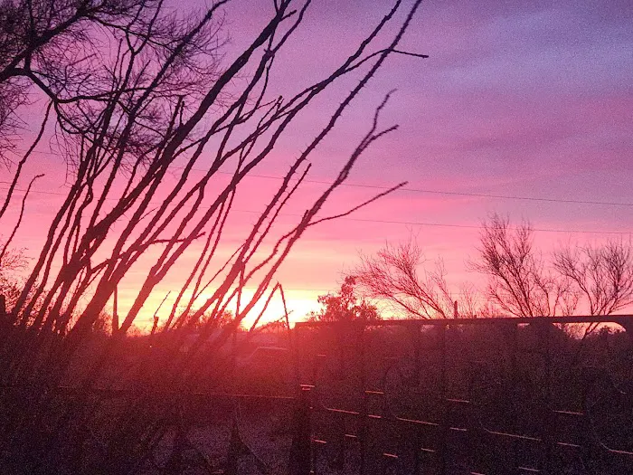 Camp Saguaro Picture 1
