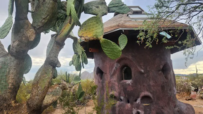 Camp Saguaro Picture 3