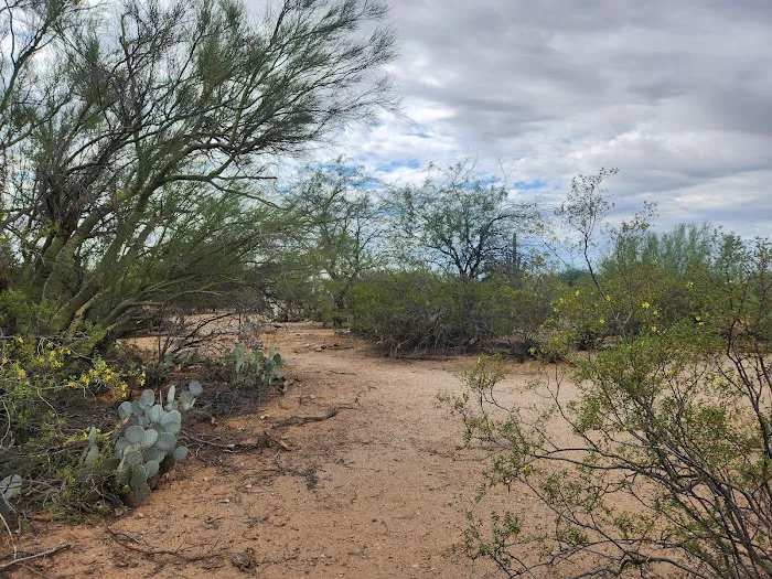 Camp Saguaro Picture 6