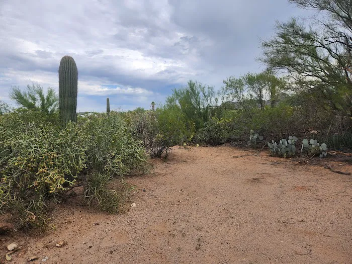 Camp Saguaro Picture 7
