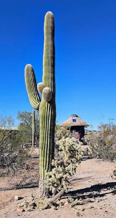 Camp Saguaro Picture 9