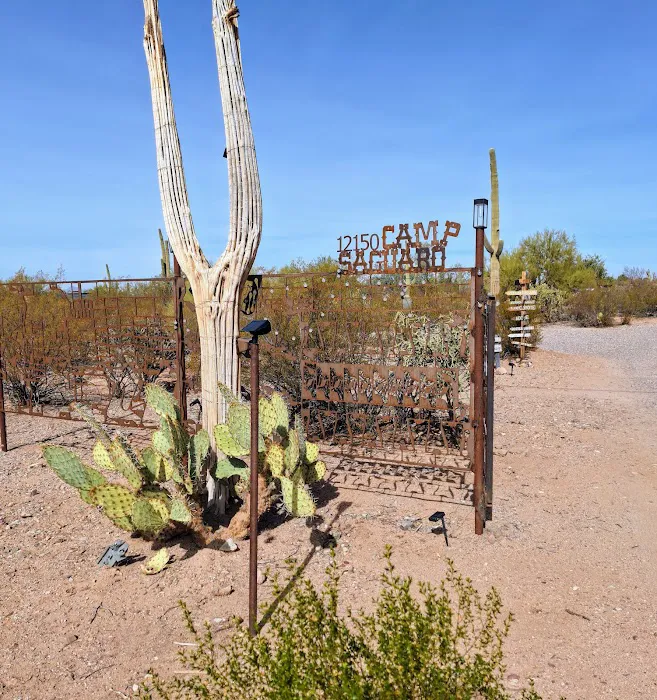 Camp Saguaro Picture 10
