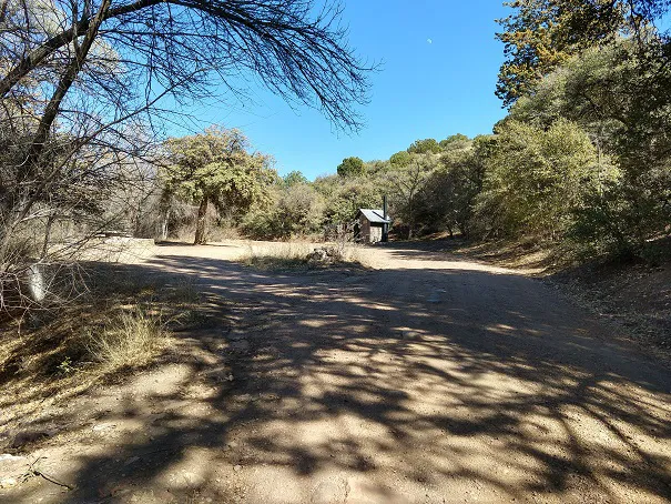 Jones Water Campground Picture 1