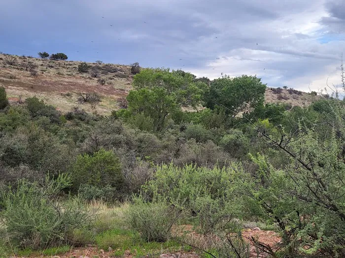 Jones Water Campground Picture 4
