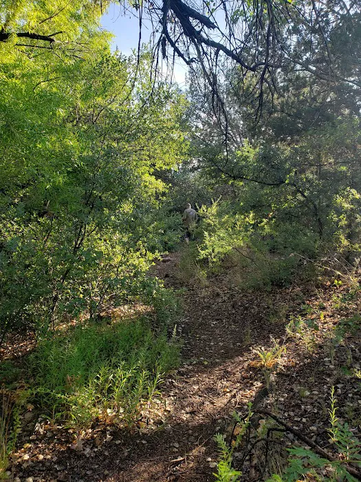 Jones Water Campground Picture 5