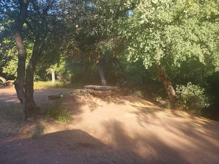 Jones Water Campground Picture 7
