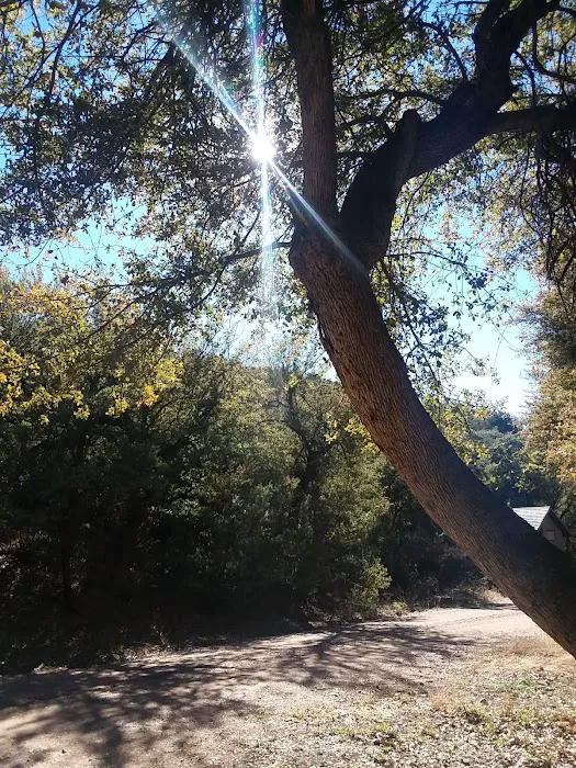 Jones Water Campground Picture 9