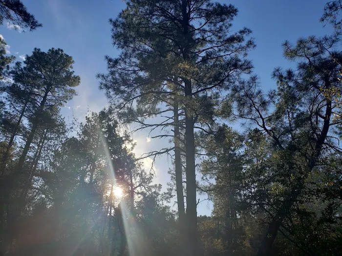 Timber Camp Recreation Site Picture 1