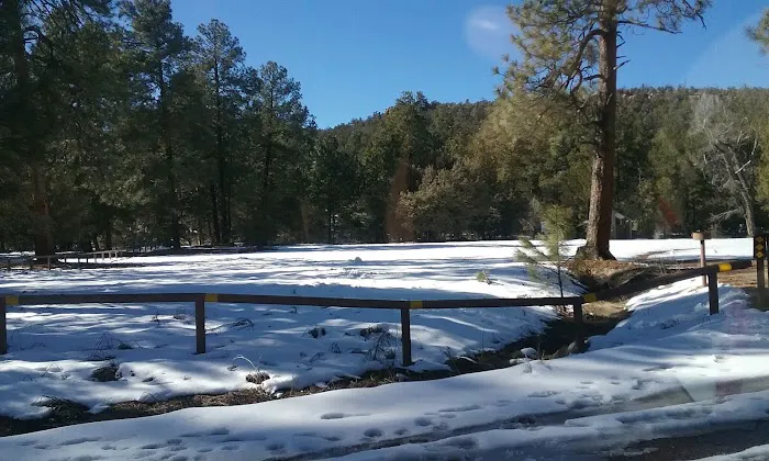 Timber Camp Recreation Site Picture 6