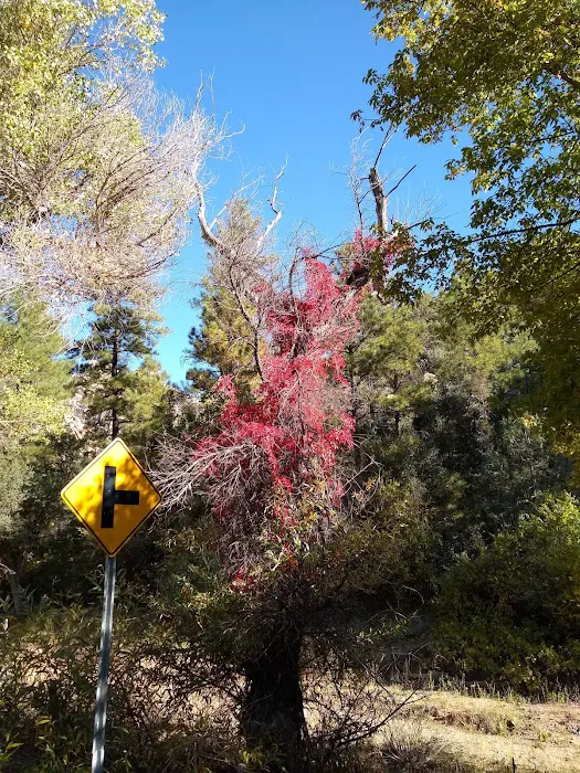 Granite Basin Recreation Area Picture 4