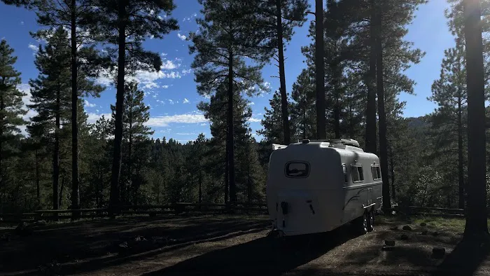 Coconino National Forest Dispersed Camping Area @ FR 9559 Picture 6