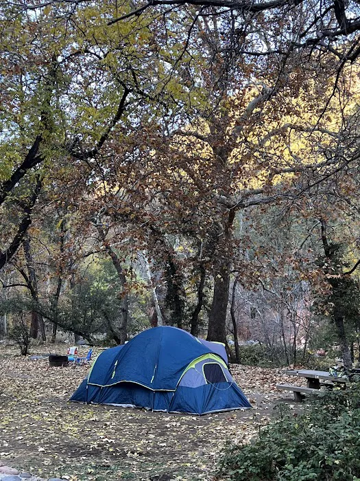 Manzanita Campground Picture 2