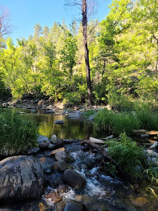 Manzanita Campground Picture 4