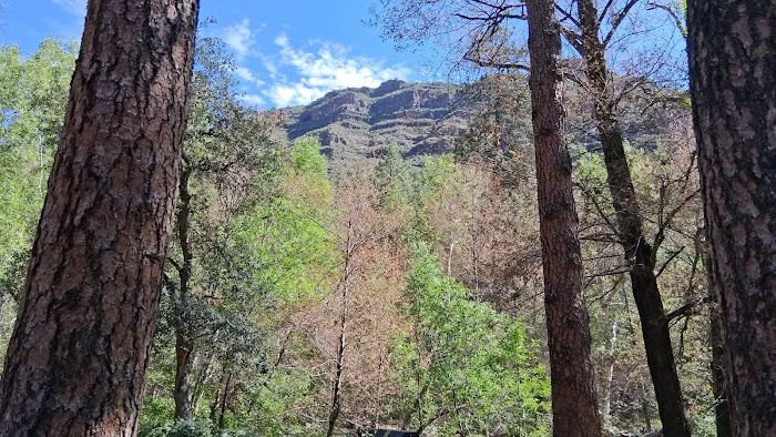 Manzanita Campground Picture 5