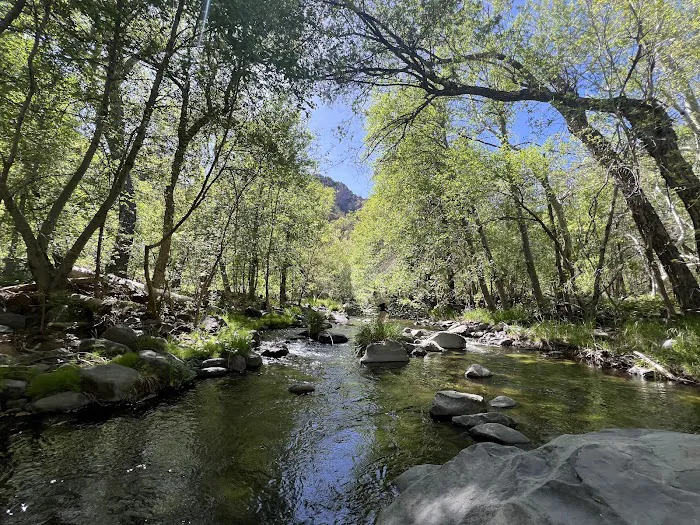 Manzanita Campground Picture 7