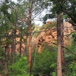 Cave Springs Campground