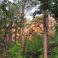 Cave Springs Campground ico