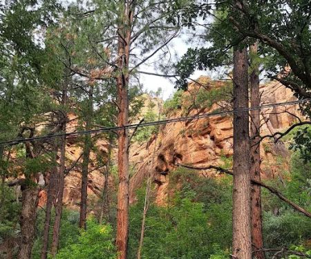 Cave Springs Campground