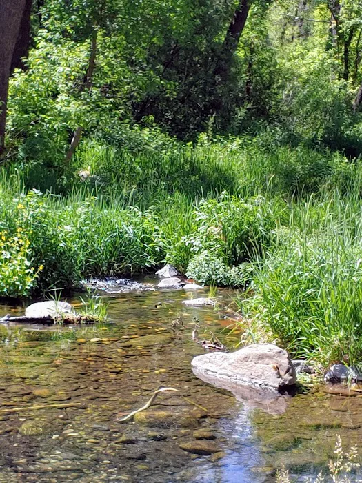 Cave Springs Campground Picture 3