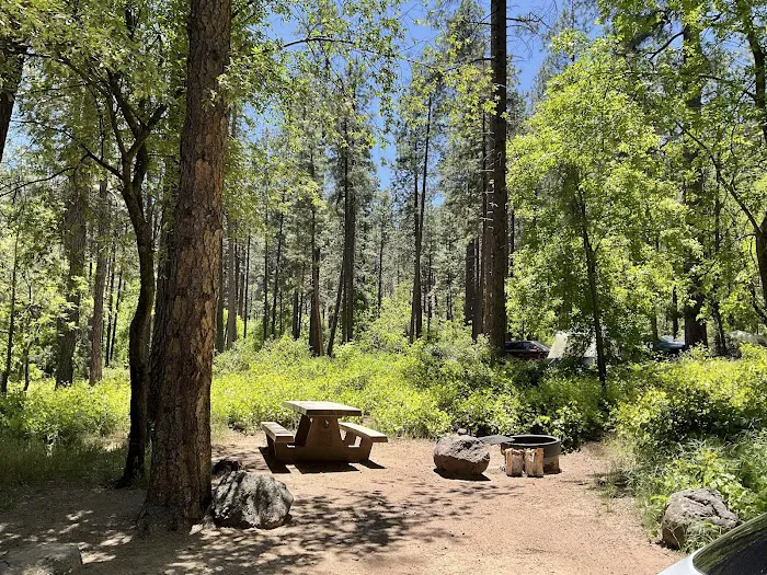 Cave Springs Campground Picture 8