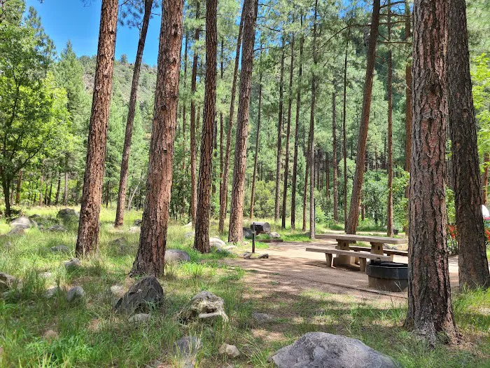 Pine Flat Campground Picture 3