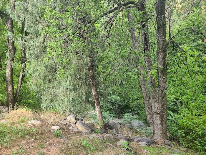 Pine Flat Campground Picture 4