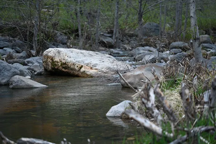 Pine Flat Campground Picture 5