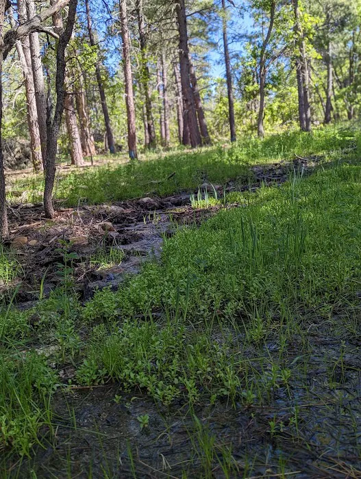 Double Springs Campground Picture 4