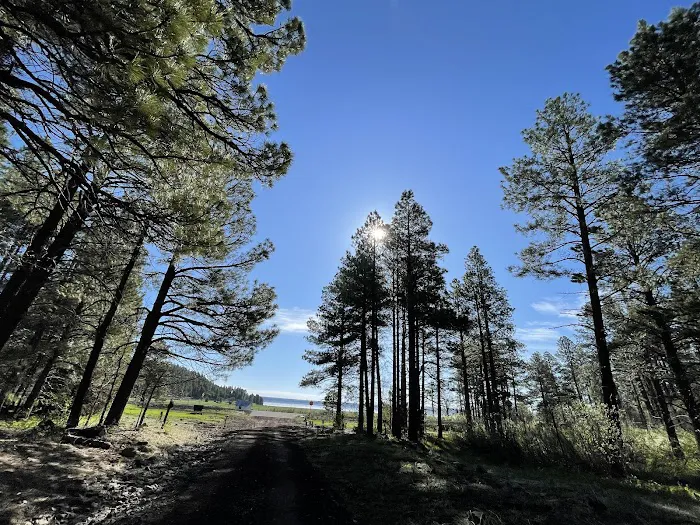 Double Springs Campground Picture 9