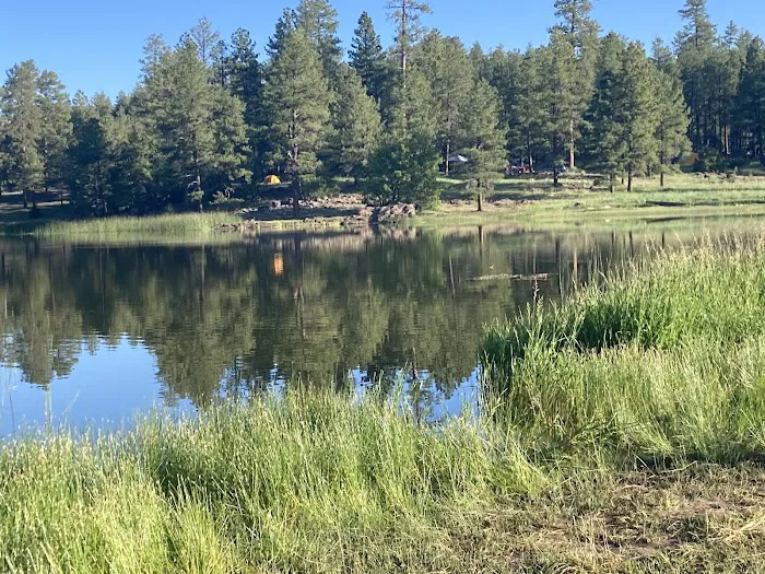 White Horse Lake Campground Picture 4