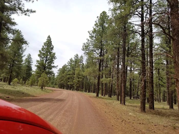 White Horse Lake Campground Picture 9