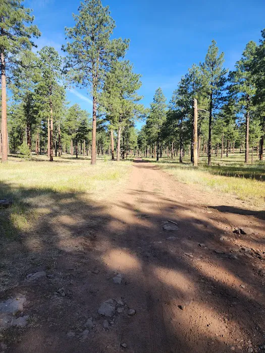 Fort Tuthill County Campground Picture 4