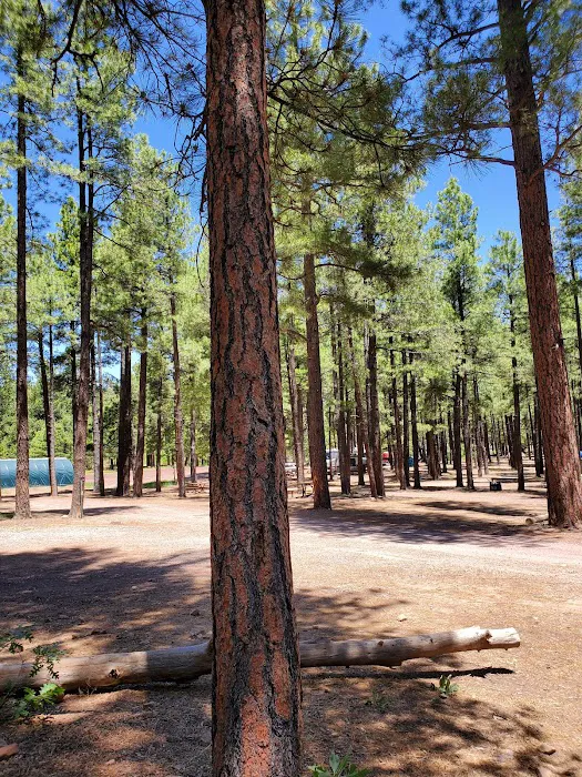 Fort Tuthill County Campground Picture 7