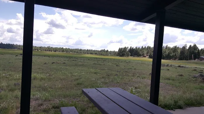 Lower Lake Mary Picture 2