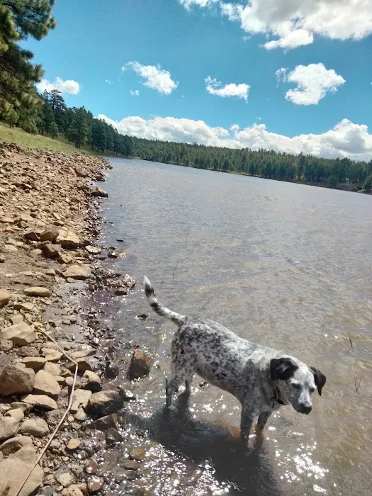 Lower Lake Mary Picture 3
