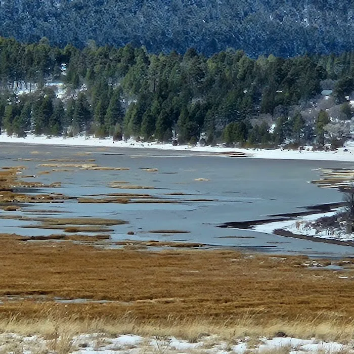 Lower Lake Mary Picture 10