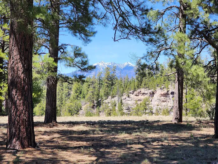 Canyon Vista Campground Picture 1