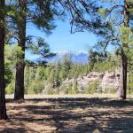 Canyon Vista Campground