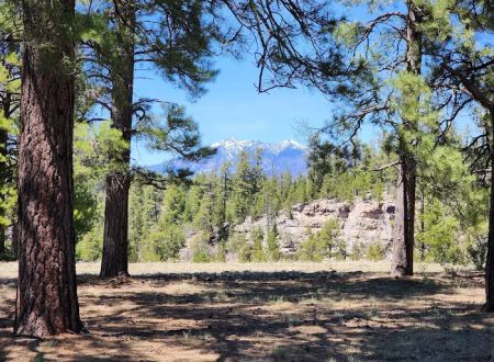Canyon Vista Campground