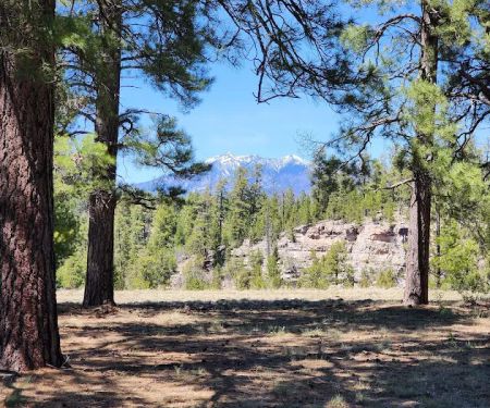 Canyon Vista Campground