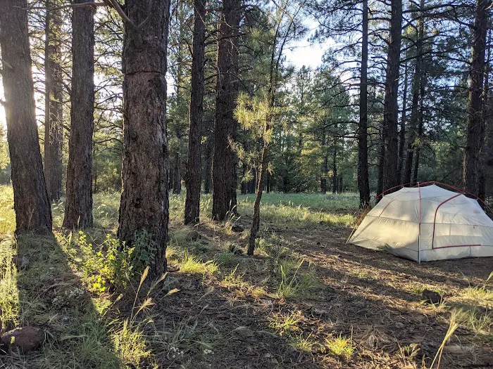Canyon Vista Campground Picture 5