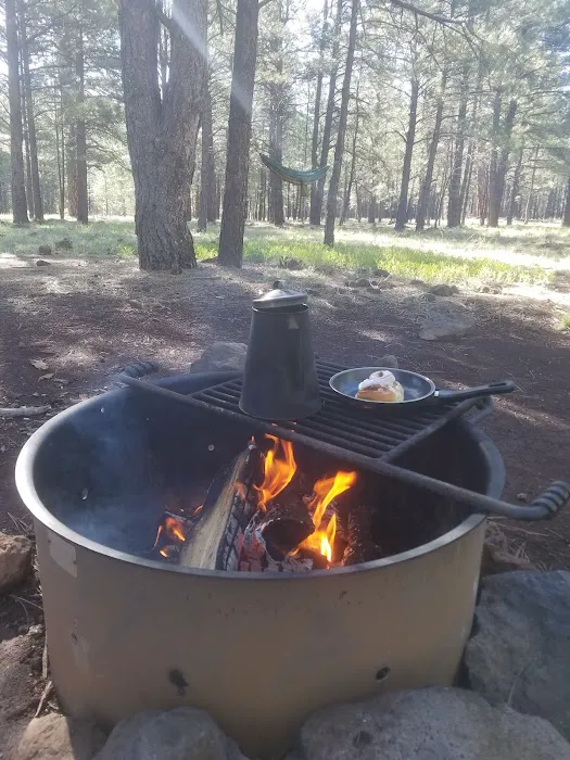 Canyon Vista Campground Picture 9