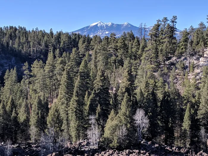 Canyon Vista Campground Picture 8