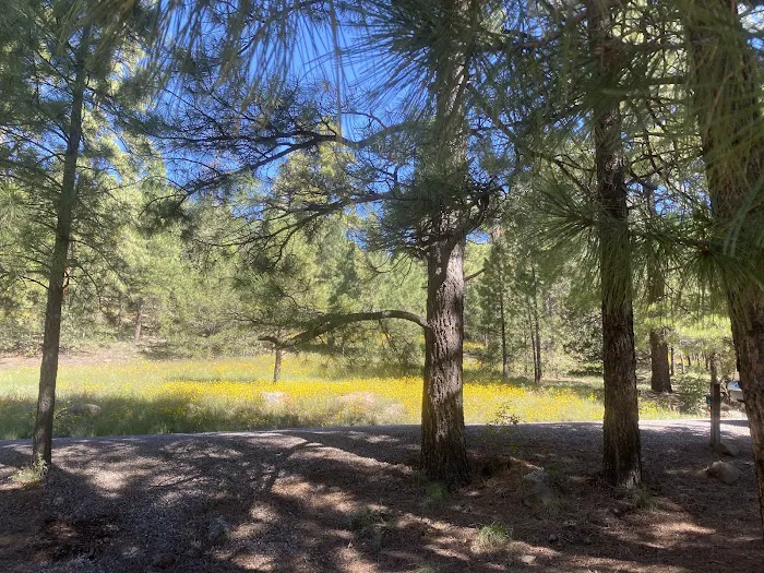 Lake View Campground Picture 3