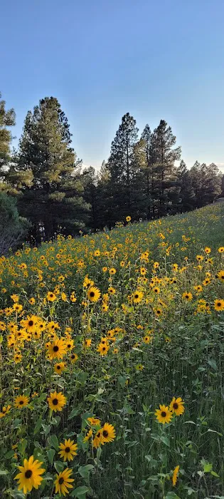 Lake View Campground Picture 5