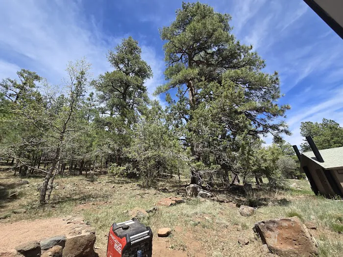Lake View Campground Picture 6