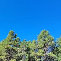 Lakeview campground view point ico