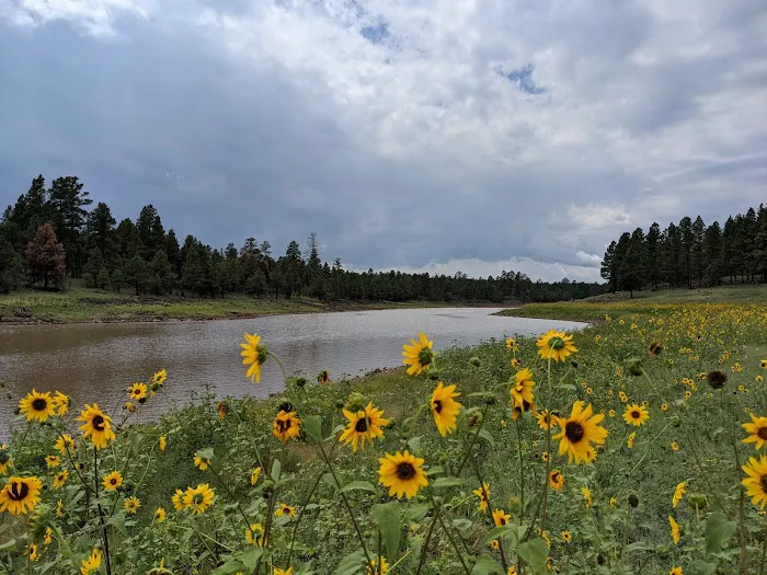 Lakeview campground view point Picture 7