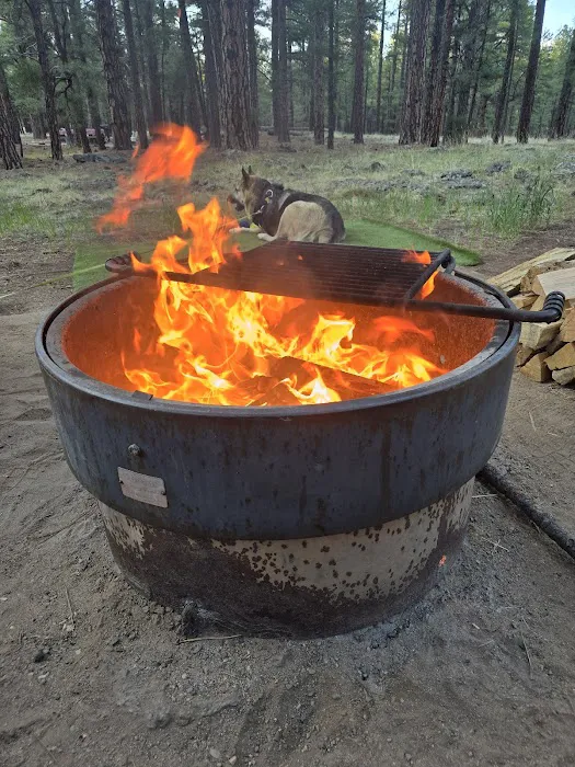 Pine Grove Campground Picture 2