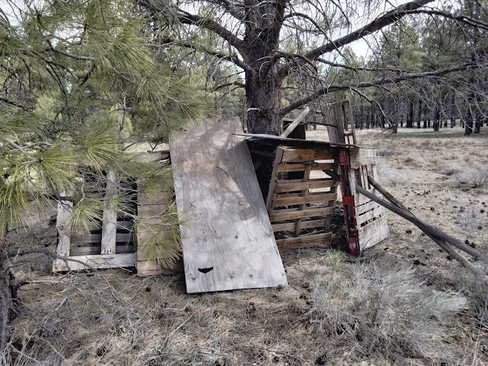 Pine Grove Campground Picture 4